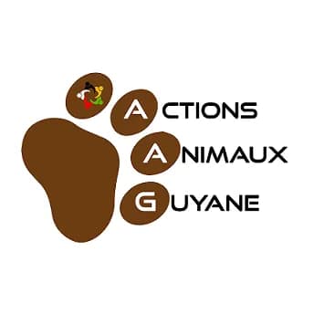 Actions Animaux Guyane