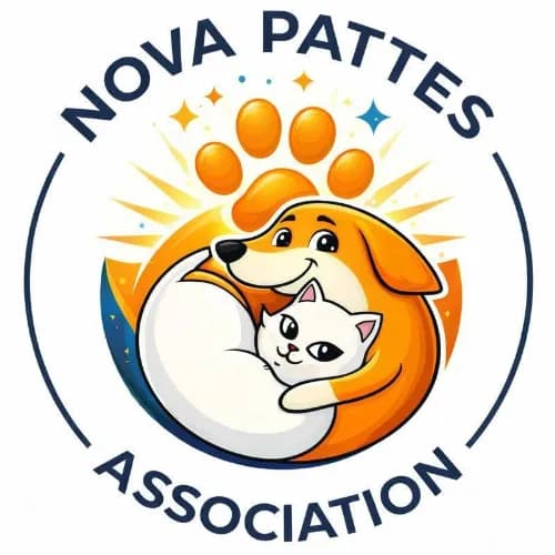 Nova pattes