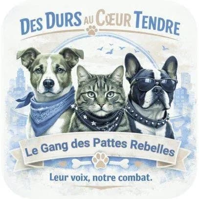 Le Gang des Pattes Rebelles