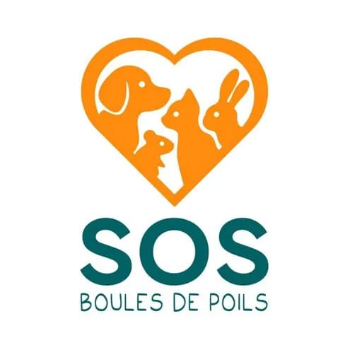 SOS boules de poils