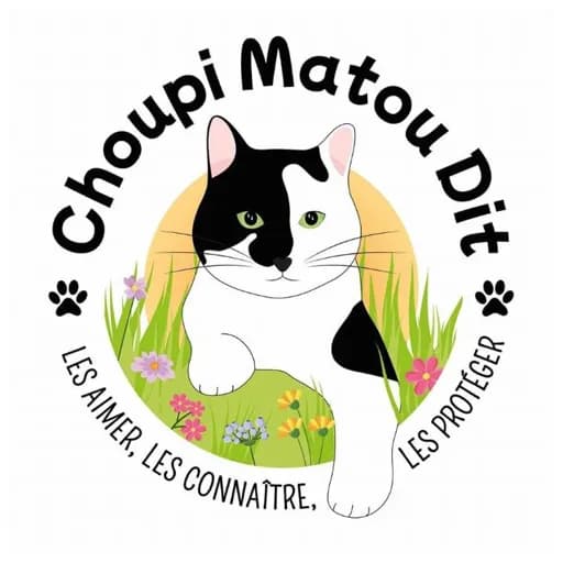 Choupi matou dit