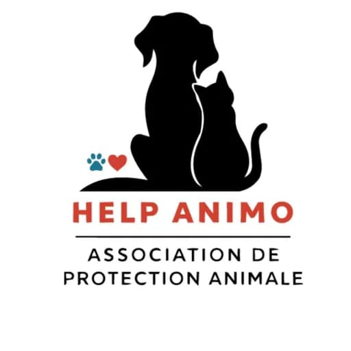 Help Animo