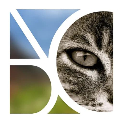 La Vallée des Chats