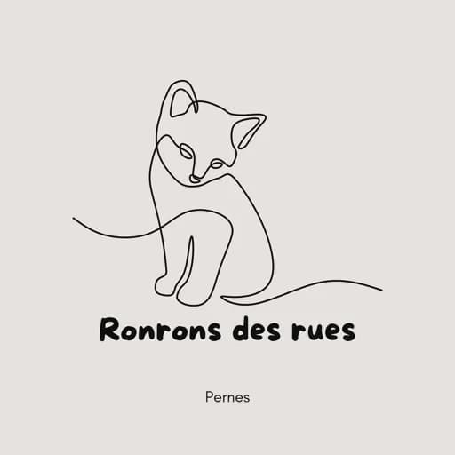 Les Ronrons des rues