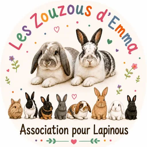 Les Zouzous d’Emma