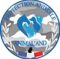 Animal'and