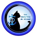 Les chats'lin de Giraud
