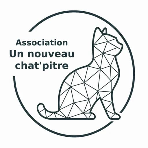 Un nouveau chat'pitre
