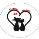L'amour des chats 52