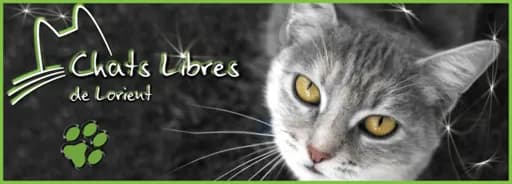 Les Chats Libres de Lorient