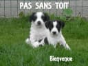 Pas Sans Toit