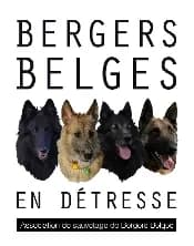 Bergers Belges en Detresse