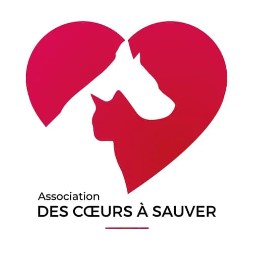 Des Cœurs à Sauver