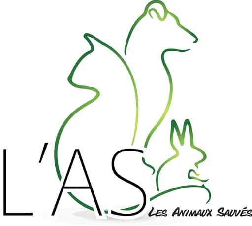 Les animaux sauvés