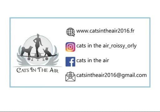 Cats in the air