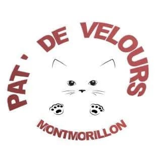 Pat' de velours