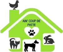 Ain Coup de Patte