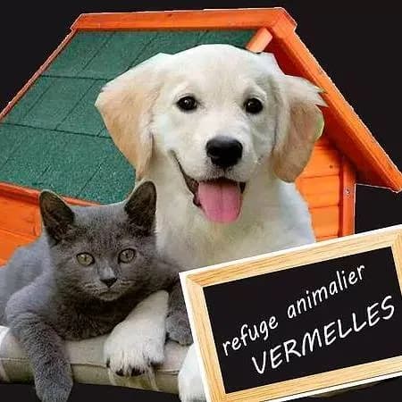 Refuge de Vermelles Foyer Animalier Vermellois