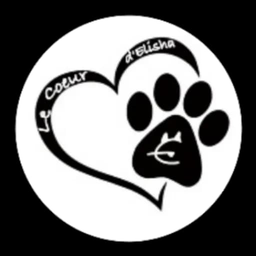Le Coeur d'Elisha