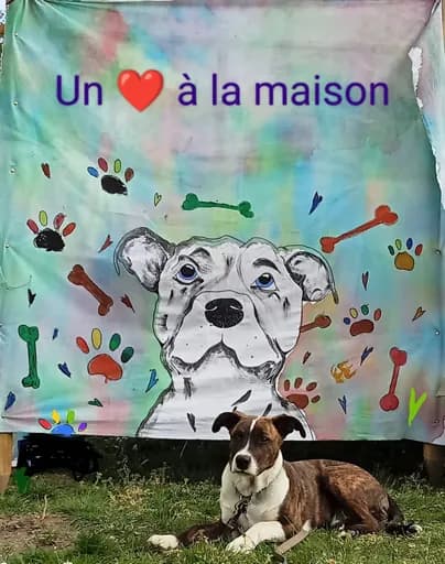 1 cœur à la maison