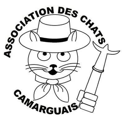 Les chats camarguais