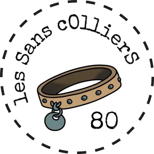 Les sans colliers 80