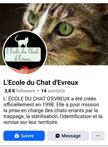L'école du chat d'Évreux