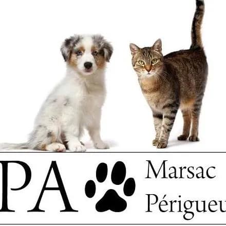 Spa24 Perigueux