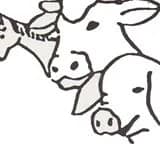 La ferme des animaux sauvés de la mort (F.A.S.M.)