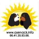 ASENACK - Association de Secours des Epagneuls Nains Anglais Cavalier et King Charles