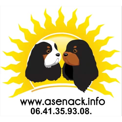 ASENACK - Association de Secours des Epagneuls Nains Anglais Cavalier et King Charles
