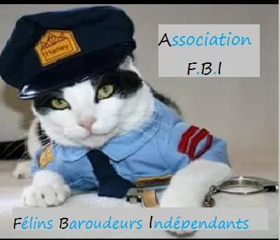 Félins Baroudeurs Indépendants