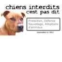 Chiens interdits c'est pas dit