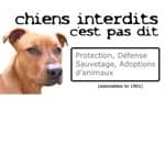 Chiens interdits c'est pas dit
