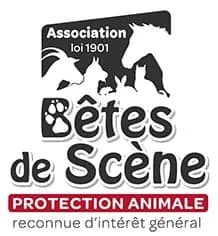 Bêtes de Scène