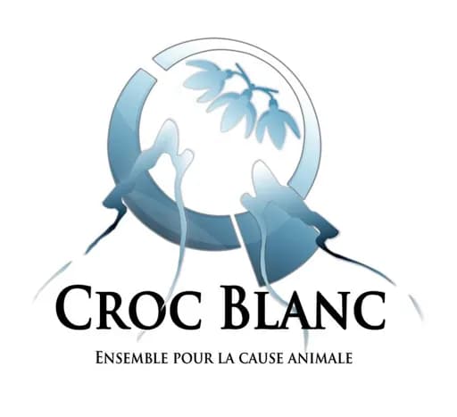 Croc-Blanc