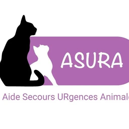 Asura