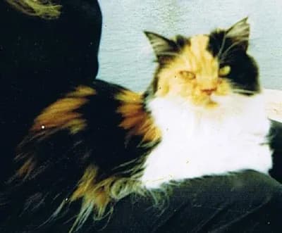 Olympe