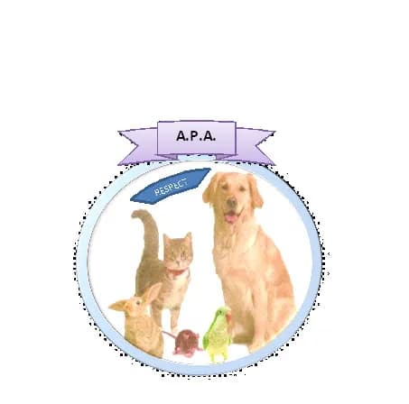 Les Anges de la Protection Animale