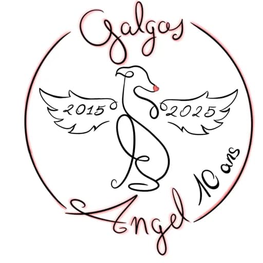 Galgos Angel