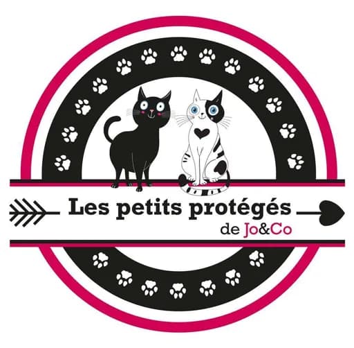 Les petits protégés de Jo & Co