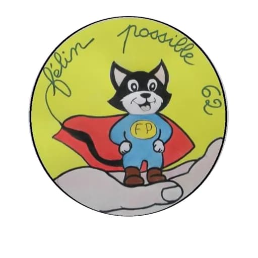 Felin'Possible 62