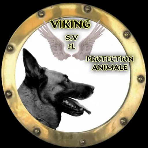 Association Viking SV2L Protection Animale