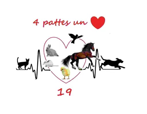 4pattes1coeur19
