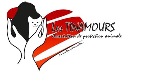 LesTinamours