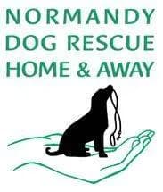 Dog Rescue Home & Away