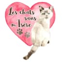 Les chats Sans Misère