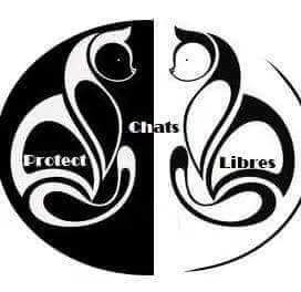 Protect chats libres