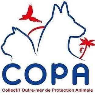 Copa Guadeoupe & Dépendances