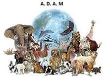 Association ADAM